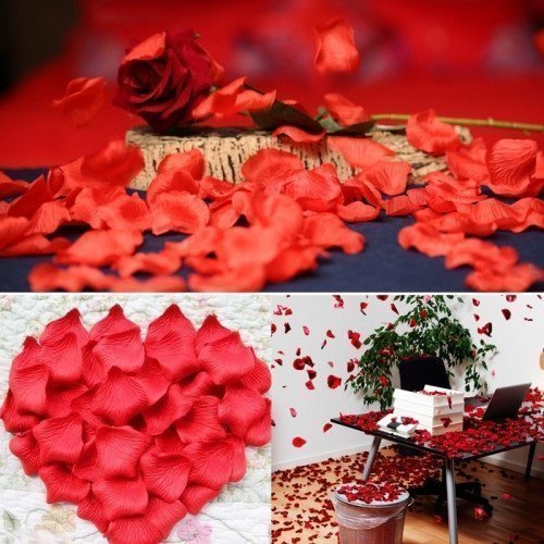 jST3IQrfxOYQIh33Sys0HrgW8O8CjoMWwmkAs7Bu.jpeg بتلات - Image 1